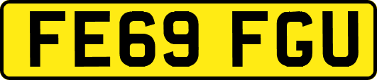 FE69FGU