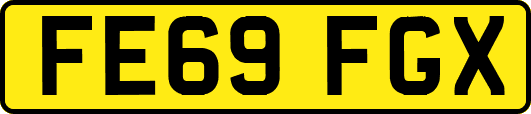 FE69FGX