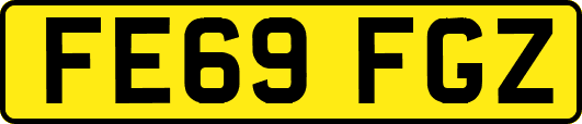 FE69FGZ