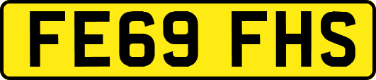 FE69FHS