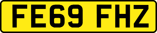 FE69FHZ