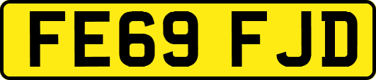 FE69FJD