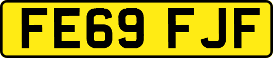 FE69FJF