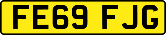 FE69FJG