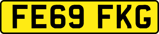 FE69FKG