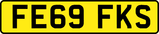 FE69FKS