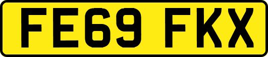 FE69FKX