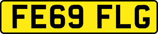 FE69FLG