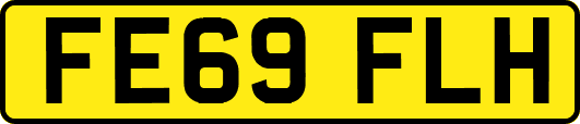 FE69FLH
