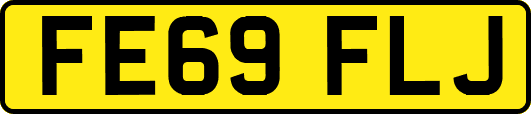 FE69FLJ