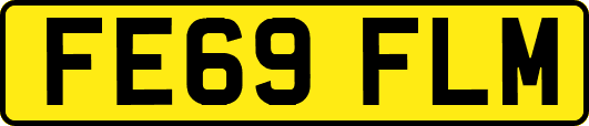 FE69FLM