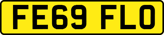 FE69FLO
