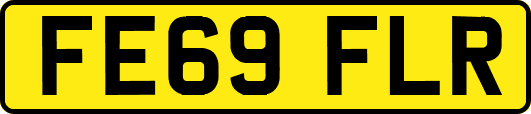 FE69FLR
