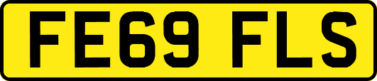 FE69FLS