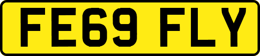 FE69FLY