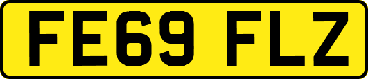 FE69FLZ