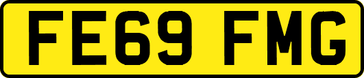 FE69FMG