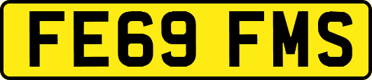 FE69FMS