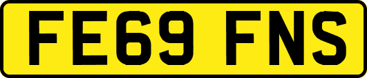 FE69FNS