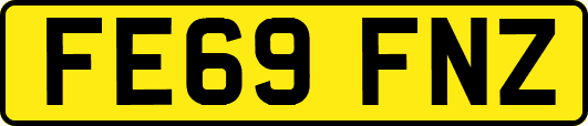 FE69FNZ