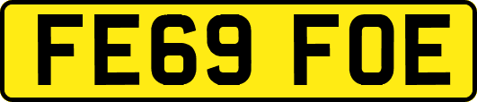 FE69FOE