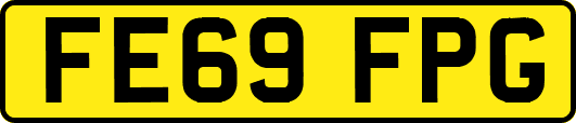 FE69FPG