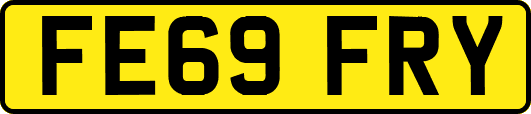 FE69FRY