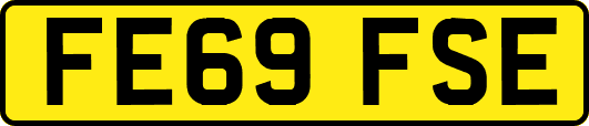 FE69FSE