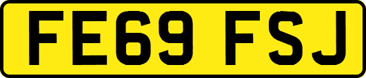 FE69FSJ