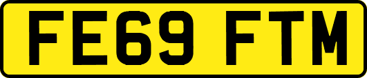FE69FTM