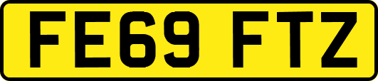 FE69FTZ