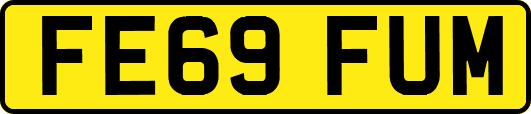 FE69FUM