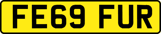 FE69FUR