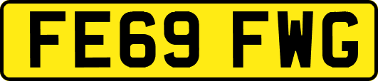 FE69FWG