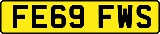 FE69FWS