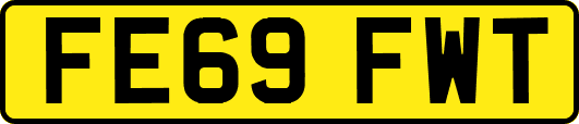 FE69FWT