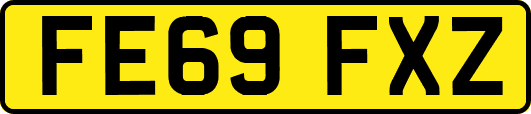 FE69FXZ