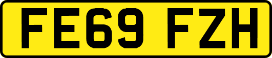 FE69FZH