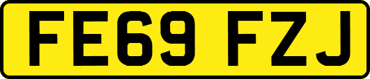 FE69FZJ