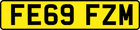 FE69FZM