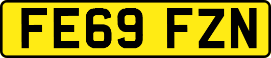 FE69FZN