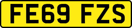 FE69FZS