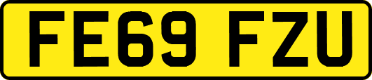 FE69FZU