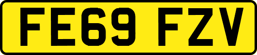 FE69FZV