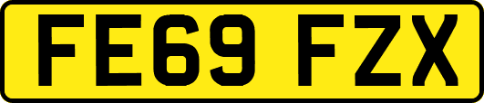 FE69FZX