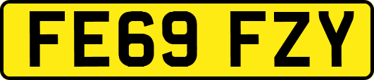 FE69FZY