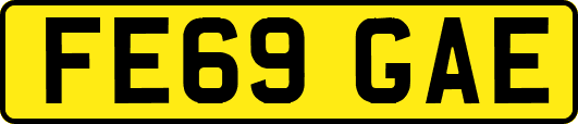 FE69GAE