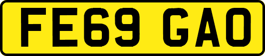 FE69GAO