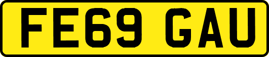 FE69GAU