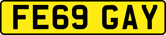 FE69GAY